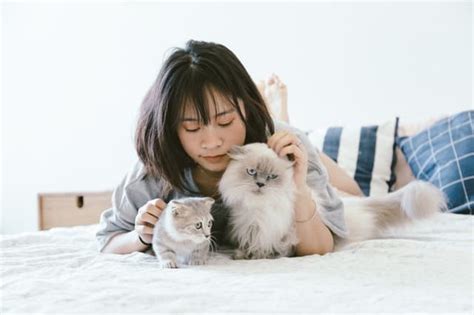 What's an interesting but low maintenance pet for a young child? 9 Low Maintenance Pets That Like to Cuddle | Middle Class Dad