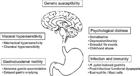 Putative Mechanisms Linked To Functional Dyspepsia Modified From Download Scientific Diagram