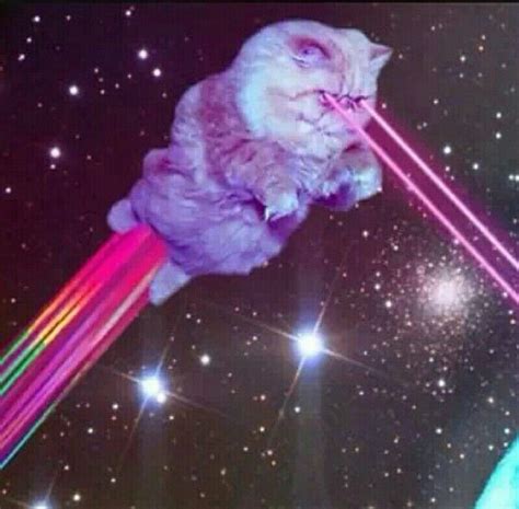 Rainbow Rocket Kitty Shooting Lasers From Eyes Awesomeness Space