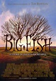 Big Fish - Le storie di una vita incredibile | Film | Recensione ...