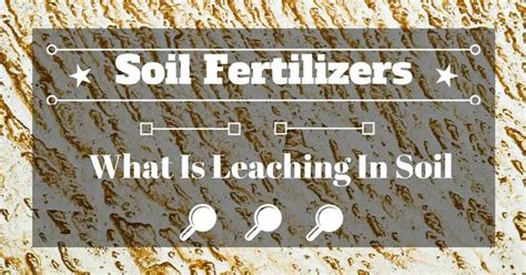 What Is Leaching In Soil A Gardener Should Know