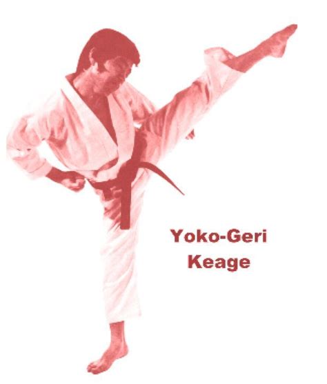 Yoko Geri Keage Karate Martial Arts Karate Kata Shotokan