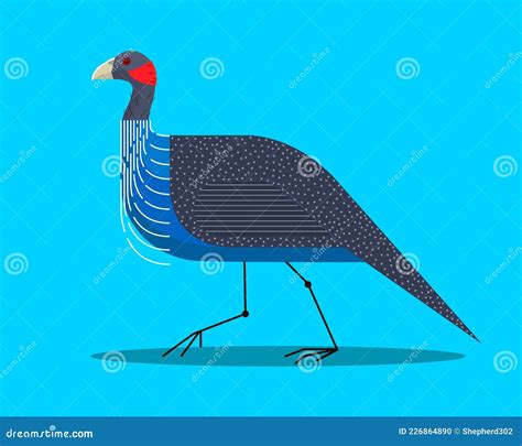 Guineafowl Cartoons Illustrations And Vector Stock Images 123 Pictures