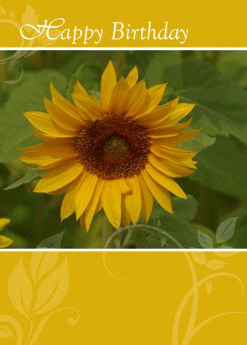 We did not find results for: Sunflower Card To Say Happy Birthday! Ecard | Sunflower cards, Happy birthday sunflower ...