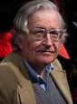 Noam Chomsky On The Perils Of Market-Driven Education : Rozenberg Quarterly