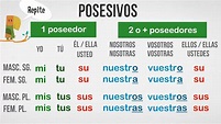 Los posesivos - Tapas de español | Adjetivo posesivo, Adjetivos, Posesivo
