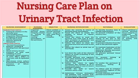 NCP 23 Nursing Care Plan On Urinary Tract Infection UTI Genitourinary