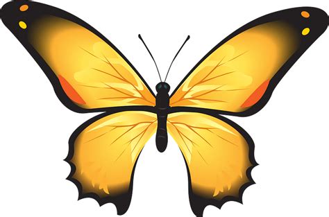 Yellow Butterfly Clipart Clipart Free Download