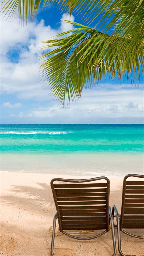 Free Download Beach Scene Wallpaper Full Desktop Backgrounds 2560x1600