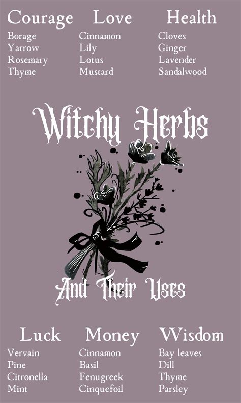 Witchcraft Spells For Beginners Witchcraft Herbs Green Witchcraft