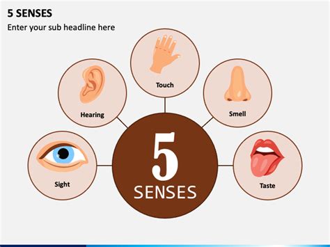 5 Senses Powerpoint Template Ppt Slides