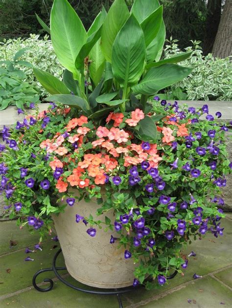 Lantana loves heat, and once temperatures start to sizzle, the flower fest really starts — and never stops until ignite your full sun pots with the flaming hues of 'fireball' french marigold. Beautiful 5+ Summer Color Container Planting Ideas For ...