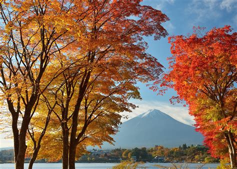 4k 5k 6k Autumn Mountains Sky Mount Fuji Japan Trees Clouds