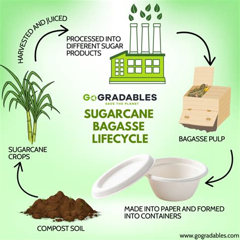 Sugarcane Bagasse Lifecycle Gogradables