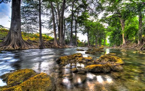 River Forest Stones Beautiful Views Wallpapers 1920x1200