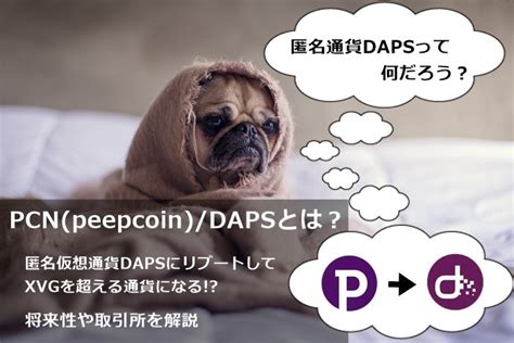 Peepcoin is giving away $1,000,000 to 1000 people!!! PCN(Peepcoin)/DAPSとは？匿名仮想通貨DAPSにリブートしてXVGを超える通貨になる!?将来性や取引 ...