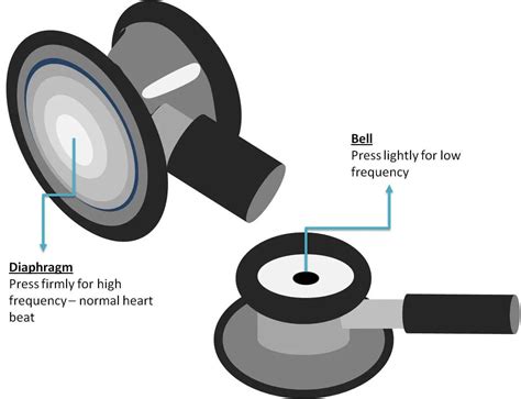 How To Use A Stethoscope Complete Guide