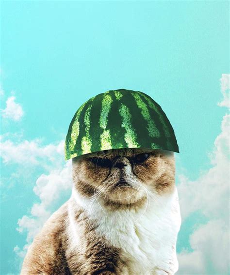 Cute Funny Watermelon Cat Digital Art By Random Galaxy Pixels