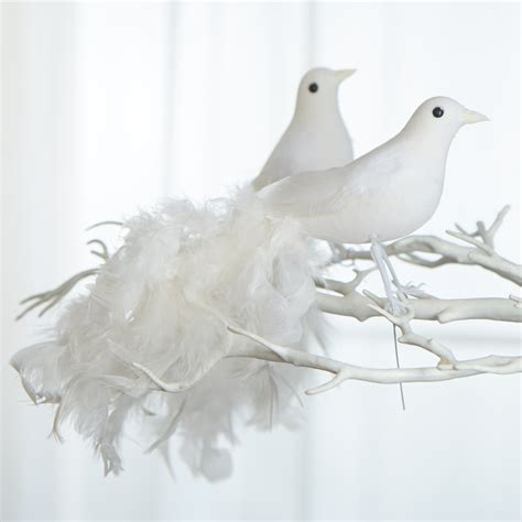 White Feathered Long Tail Artificial Birds Birds And Butterflies