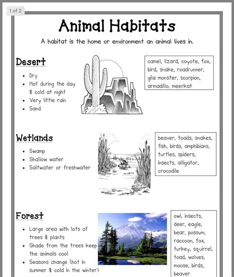 Animals Habitat Worksheet For Grade 4