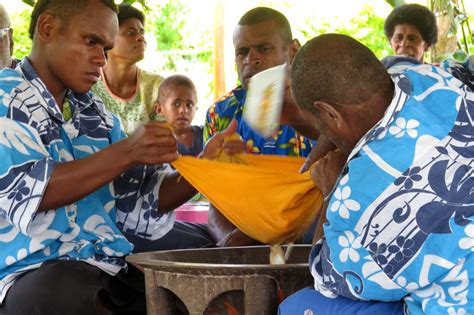 Making Fijian Kava Yaqona For Seremonial Use Fijian Kava Great