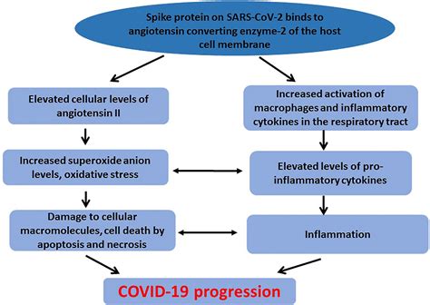 Frontiers Metabolic Implications Of Oxidative Stress And Inflammatory