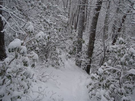 Snow On The Appalachian Trail In The Gsmnp Appalachian Trail Great