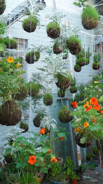 Japan Crafts Diy Garden Plants String Gardening Kokedama