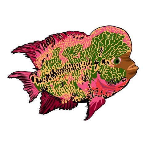 Gambar Ikan Lohan Png Vektor Psd Dan Clipart Dengan Background