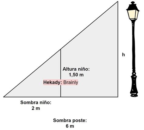 Un Niño De 15m De Estatura Proyecta Una Sombra De 2m Calcula La Altura De Un Poste Que Al