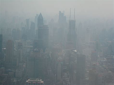 Smog Bing Images