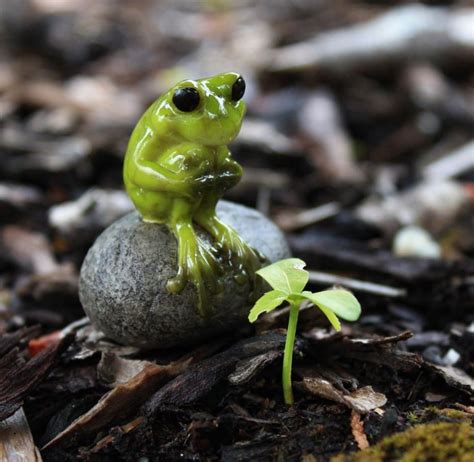 Maybe you would like to learn more about one of these? Details about Garden Frog Statue Outdoor Home Decor Cute ...