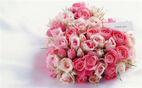 Wallpapers Pink Rose Bouquet Wallpapers