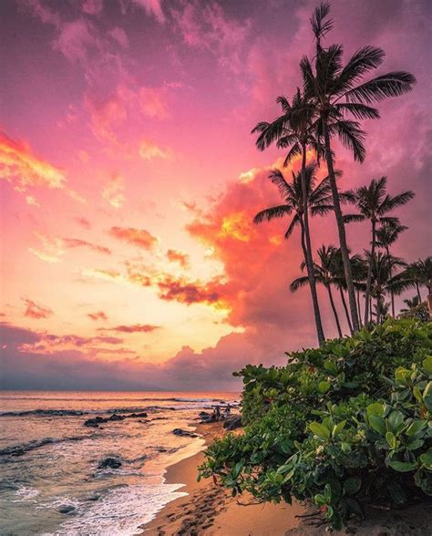 🌹Ꮲɪɴᴛᴇʀᴇsᴛsɴᴇᴀᴋᴇʀ ʙᴀᴇ Hawaii Beaches Romantic Sunset Palm Trees Wallpaper