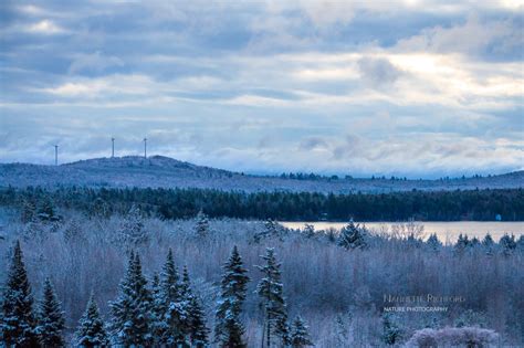 First Maine Snow Creates Snowy Landscape Through My Lens Nature