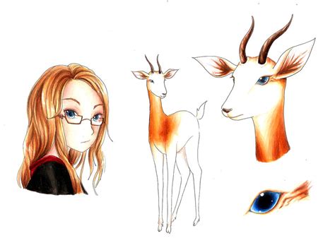 Animagus Form Dama Gazelle By Rockbat On Deviantart