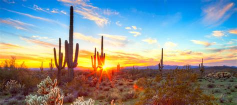 Sunset over phoenix on february 16, 2018. 50 Authors from 50 States: Cactus Envy - Arizona & Mexico ...