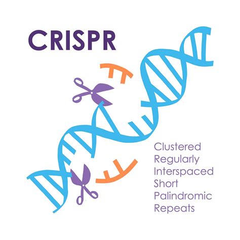 CRISPR Cas Icon