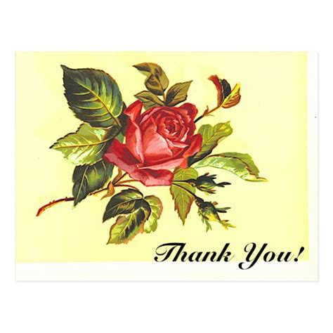 Thank You Rose Flower Vintage Look Postcard