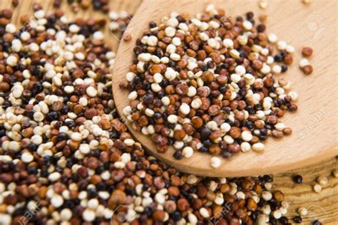 What Is Quinoa And Its Properties The Green Superfoods