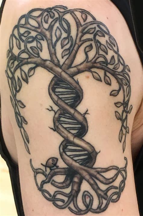 Evolution Tree Of Life With Dna Strand And Charles Darwin Fish