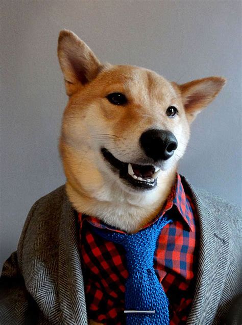 Menswear Dog Presentandcorrect