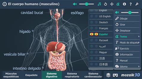 El Cuerpo Humano Masculino En 3d Educativo For Android Apk Download