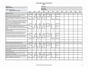 Therapy Chart Audit Tools