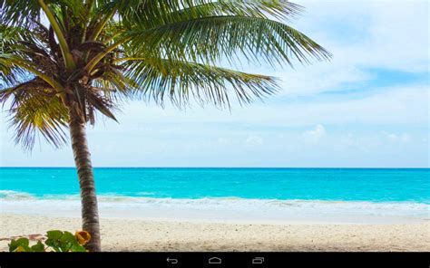 Google Free Beach Wallpaper