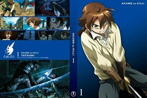 Akame Ga Kill Vol 1 Limited Edition Dvd Manga Japan Anime Tdv 24641 D