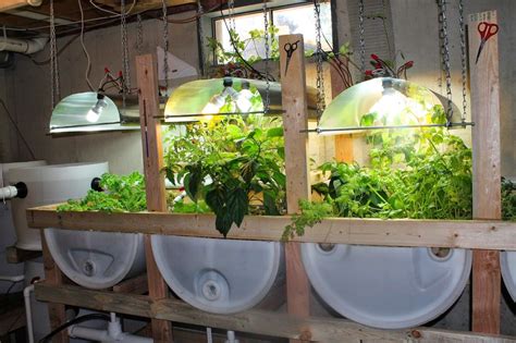 Indoor Aquaponics The Best Grow Media For Grow Beds Simple Suburban
