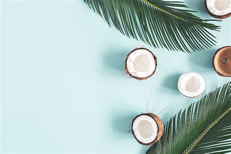 Coconuts And Leaves On A Blue Background