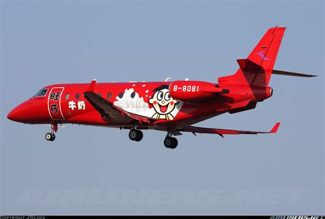Cool Aircraft Paint Schemes Displaying 17 Images For Cool Airplane