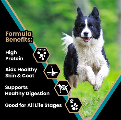 Victor Super Premium Dog Food Hi Pro Plus Dry Dog Food 30 Protein